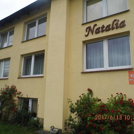Pokoje Goscinne Natalia 米兹多洛杰 外观 照片